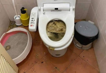 Thông Tắc Bồn Cầu Huyện Yên Dũng Giá Tốt Phục Vụ 24/24