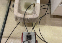 Thông Tắc Bồn Cầu Huyện Yên Thế Phục Vụ 24/24 Giá Tốt