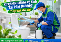 Xử Lý Mùi Hôi Nhà Vệ Sinh Tại Hải Dương Triệt Để, Giá Rẻ