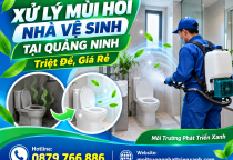 Xử Lý Mùi Hôi Nhà Vệ Sinh Tại Quảng Ninh Triệt Để, Giá Rẻ