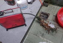 Thông Cống Nghẹt Phường Vĩnh Tân TPHCM Sạch Sẽ 100% Rẻ