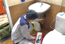 Thông Cống Nghẹt Huyện Đông Giang Quảng Nam Sạch 100%