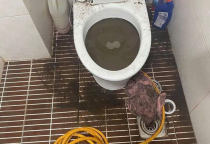 Thông Tắc Bồn Cầu Huyện Bắc Trà My Quảng Nam Nhanh 24/7