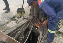 Hút Hầm Cầu Quận Ngũ Hành Sơn Đà Nẵng Dịch Vụ 24/7 Rẻ