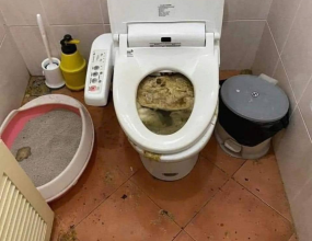 Thông Tắc Bồn Cầu Huyện Yên Dũng Giá Tốt Phục Vụ 24/24