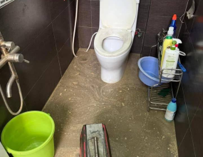 Thông Cống Nghẹt Huyện Nam Trà My Quảng Nam Sạch 100%