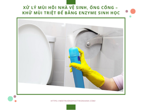 Xử lý mùi hôi nhà vệ sinh, ống cống – Khử mùi triệt để bằng enzyme sinh học
