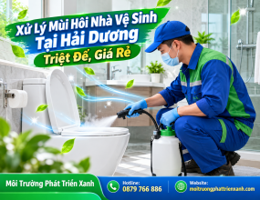 Xử Lý Mùi Hôi Nhà Vệ Sinh Tại Hải Dương Triệt Để, Giá Rẻ