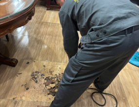 Thông Cống Nghẹt Phường Phú An TPHCM Dịch Vụ 24/7 Rẻ