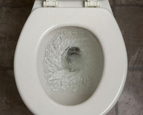 Giải pháp xử lý triệt để mùi hôi nhà vệ sinh mà không cần hóa chất độc hại