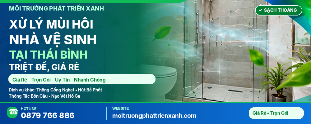 Xử Lý Mùi Hôi Nhà Vệ Sinh Tại Thái Bình Triệt Để, Giá Rẻ - Kiểm tra nhà vệ sinh sau khi xử lý mùi